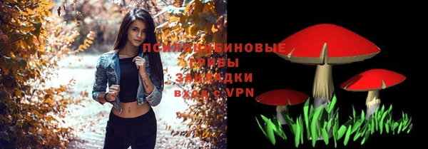 стафф Армянск