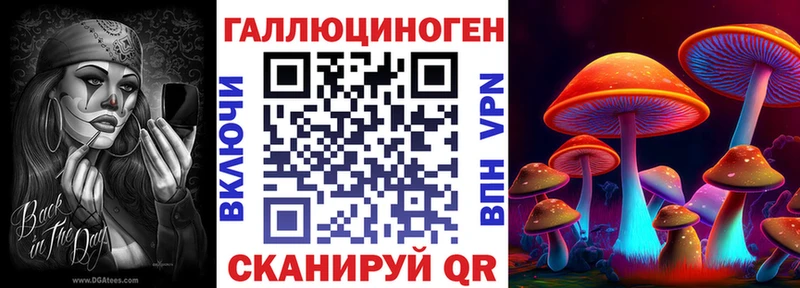 Галлюциногенные грибы Psilocybine cubensis  даркнет сайт  Дыгулыбгей 